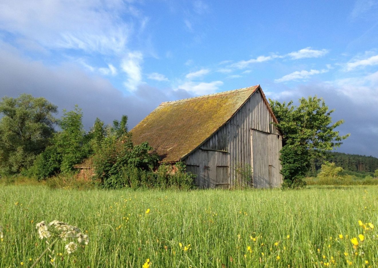 Alleen een boerderij kopen lukt bijna niemand